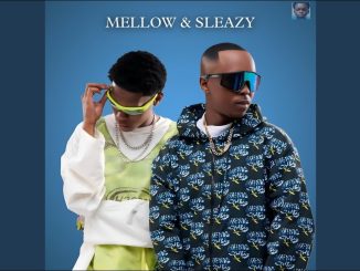 Mellow – Bazoz'funda ft. Sleazy, Scotts Maphuma & Pushkin RSA