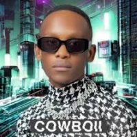 CowBoii – iMpilo ft Snowterris