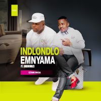 Indlondlo Emnyama – Izinkinga Ft. Umdumazi