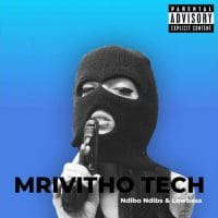 2souls Ndibo Ndibs – Mrivitho Tech Ft Lowbass Djy