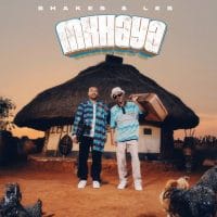 Shakes – Dubane Ft Les, Zee Nxumalo & Djy Biza