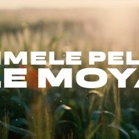 DJ Ngwazi ft. Han C & Donald – Mmele Pelo Le Moya