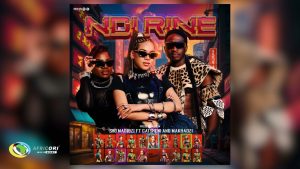 Sho Madjozi Ft. Makhadzi & Gatsheni - Ndi Rine