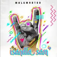 MalumNator - Malini ft. Scotts Maphuma & Njebstxr