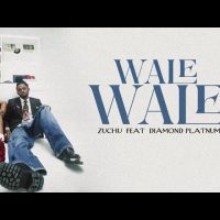 Zuchu ft Diamond Platnumz - Wale Wale